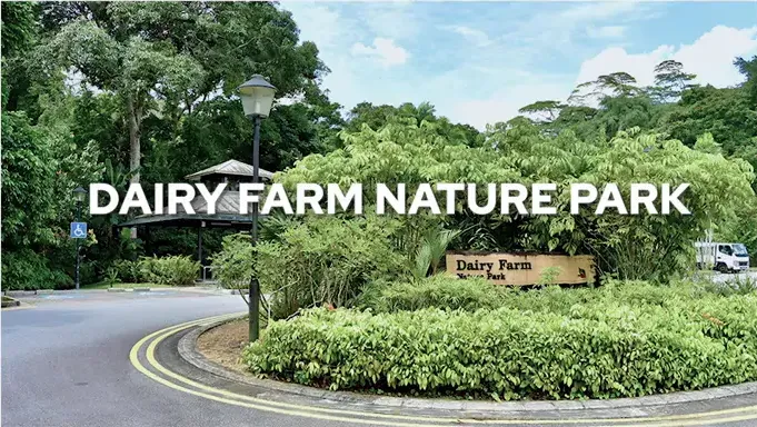 DAIRY FARM NATURE PARK