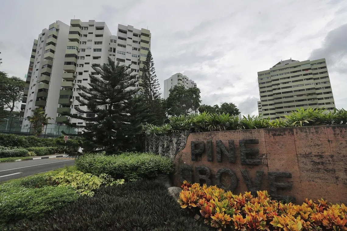 Pine Grove En bloc Sale Timeline Extended
